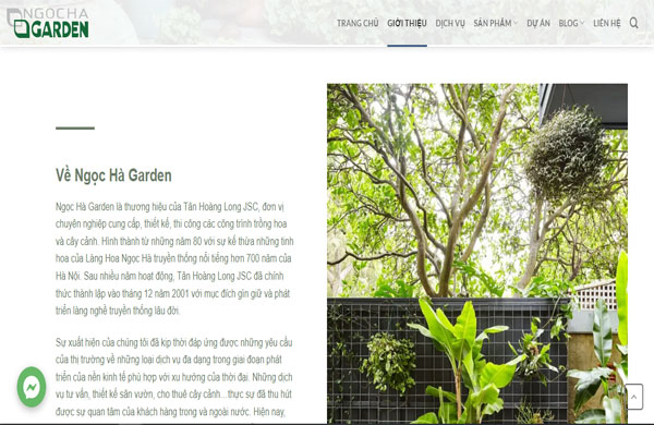 shop bán cây ngọc hà garden